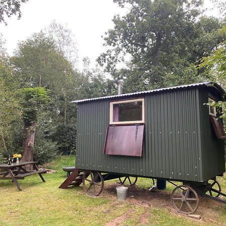 The Shepherd'S Hut - Wild Escapes Wrenbury Off Grid Glamping - Ages 12 And Over Baddiley Exteriér fotografie