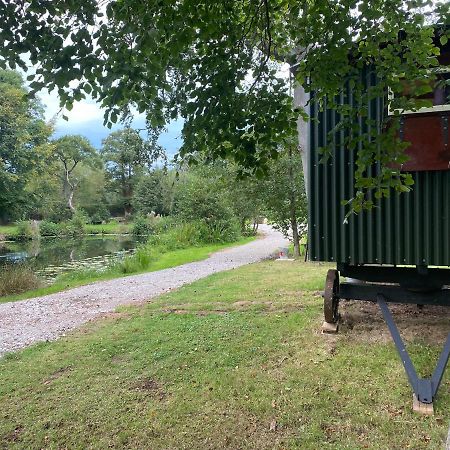 The Shepherd'S Hut - Wild Escapes Wrenbury Off Grid Glamping - Ages 12 And Over Baddiley Exteriér fotografie