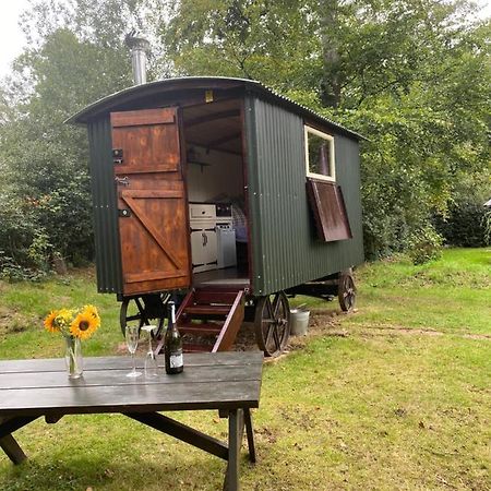 The Shepherd'S Hut - Wild Escapes Wrenbury Off Grid Glamping - Ages 12 And Over Baddiley Exteriér fotografie