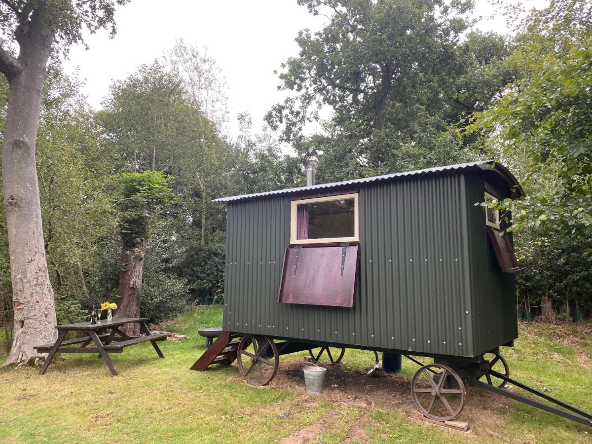 The Shepherd'S Hut - Wild Escapes Wrenbury Off Grid Glamping - Ages 12 And Over Baddiley Exteriér fotografie