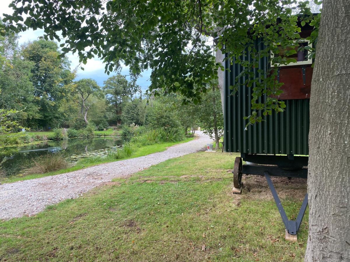 The Shepherd'S Hut - Wild Escapes Wrenbury Off Grid Glamping - Ages 12 And Over Baddiley Exteriér fotografie