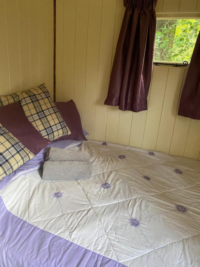 The Shepherd'S Hut - Wild Escapes Wrenbury Off Grid Glamping - Ages 12 And Over Baddiley Exteriér fotografie