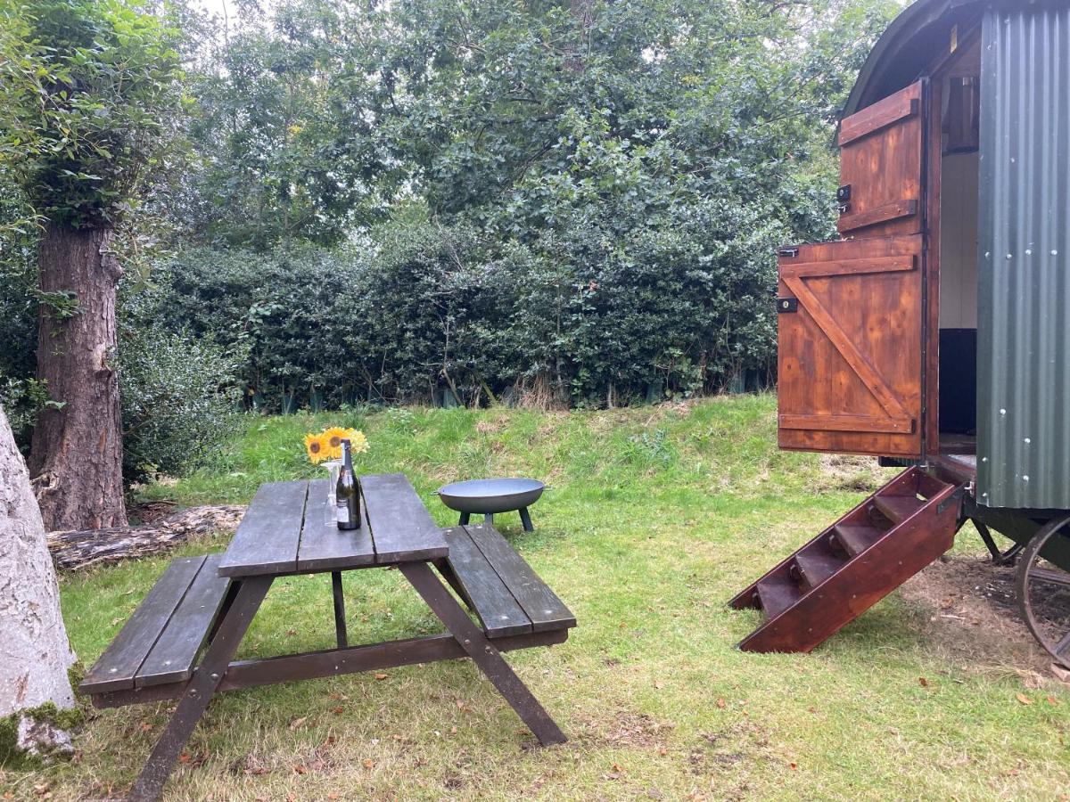 The Shepherd'S Hut - Wild Escapes Wrenbury Off Grid Glamping - Ages 12 And Over Baddiley Exteriér fotografie